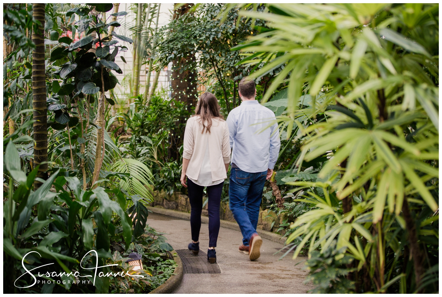 Cincinnati Krohn Conservatory Engagement Photography, couple walk away from camera (holding hands) as they gaze at conservatory plant life