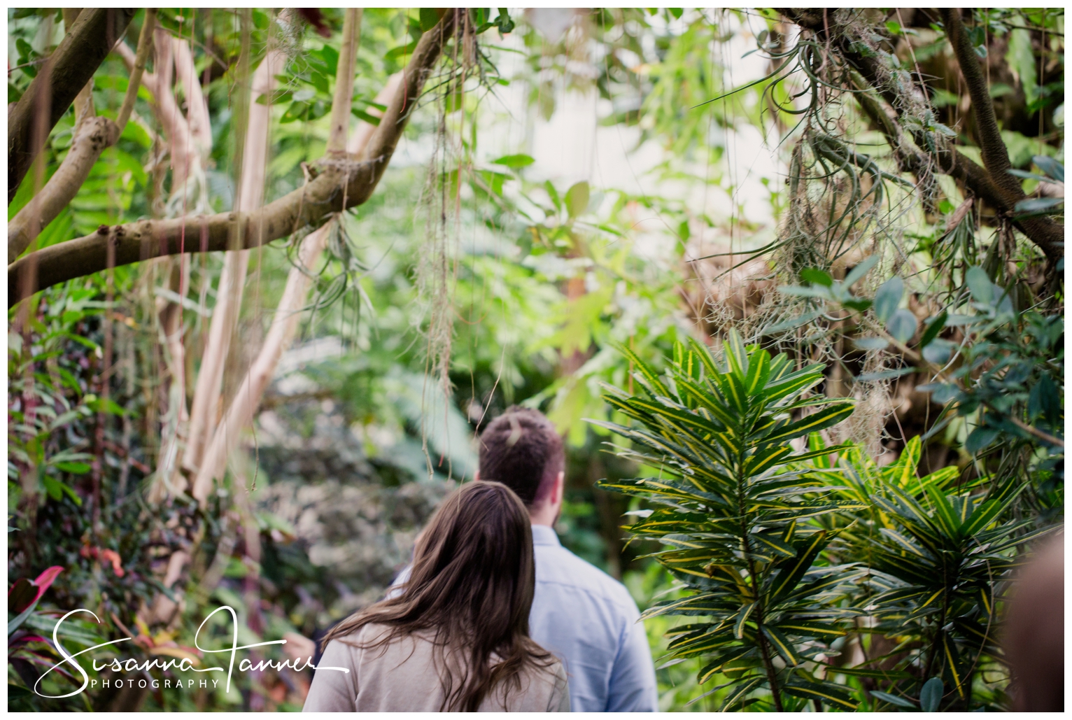 Cincinnati Krohn Conservatory Engagement Photography, couple walking away from camera through greenry and plants/trees.