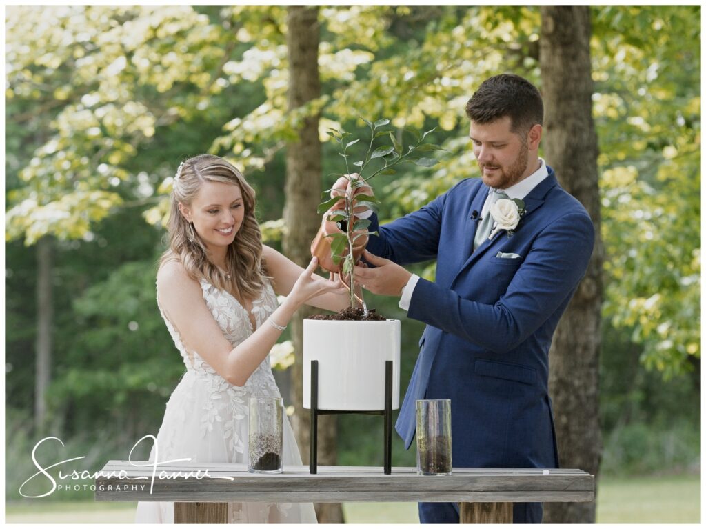 wedding couple planting and watering a small tree as a symbol of their marriage 